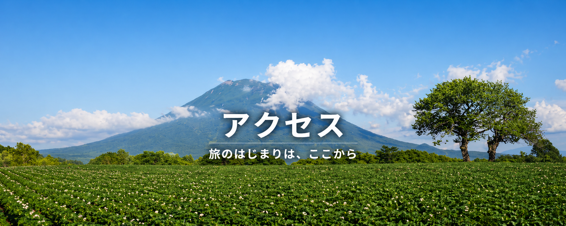 イベント