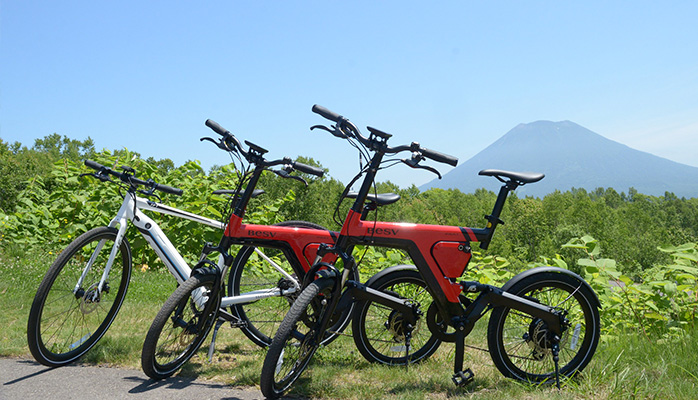 BESV e-Bike（電動アシスト付自転車）