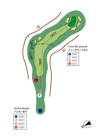 コースレイアウト