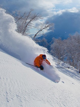 NVSS ALL MOUNTAIN EXPLORER